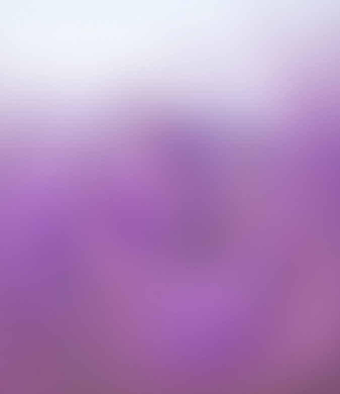 Purple Backgrounds
